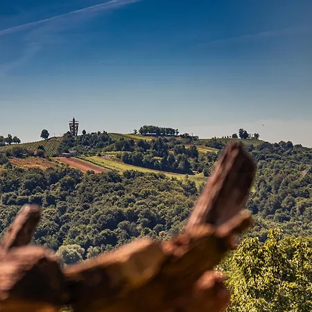 Wellness Pocitniska Hisa Manja * Лютомер