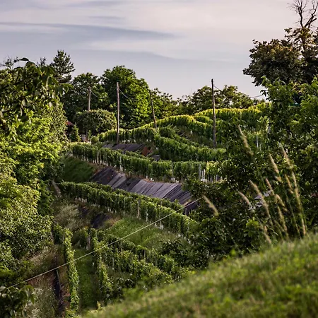 Wellness Pocitniska Hisa Manja *