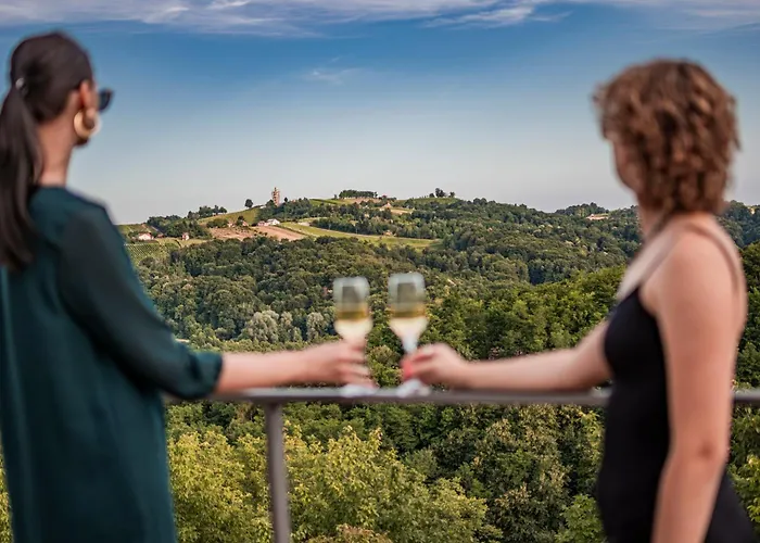 Wellness Pocitniska Hisa Manja Ljutomer