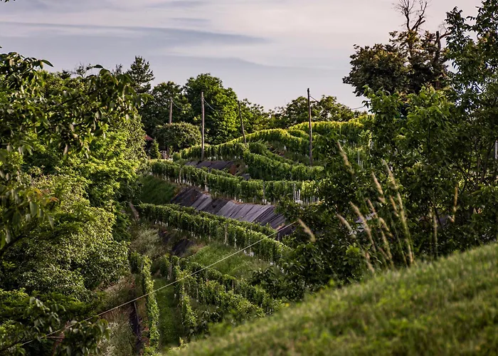 Wellness Pocitniska Hisa Manja *