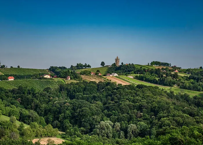 Wellness Pocitniska Hisa Manja * Ljutomer